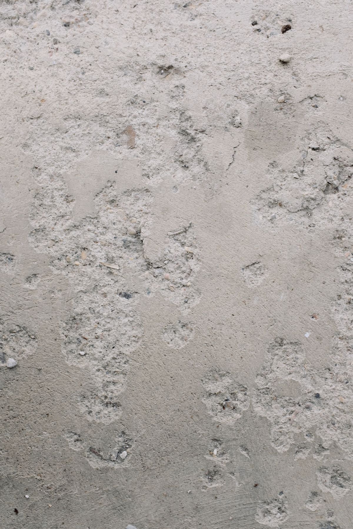 Concrete & Construction material surface